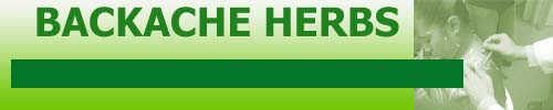 Backache Herbs Acupuncture Herbal Treatment